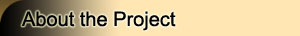 About the Project
