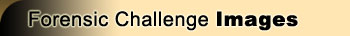 The Forensic Challenge